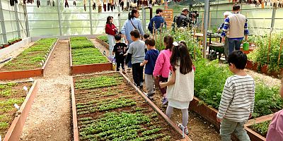 Osmangazi’de Serada Eğitim, Çuklara Toprakta Deneyim