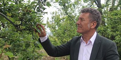 Sarıbal: Hasat Öncesi Çiftçiye İthalat Darbesi Yapılıyor.