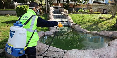 Sinek ve haşereyle etkin mücadele