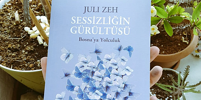 Srebrenitsa, Sessizliğin Gürültüsü ve Mavi Kelebekler