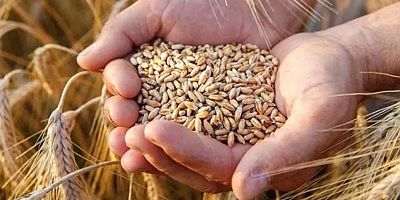 Tahıl tohumunda 2008 mevzuatı tarihe karıştı: Dijital takip ve karekod dönemi resmen başladı!