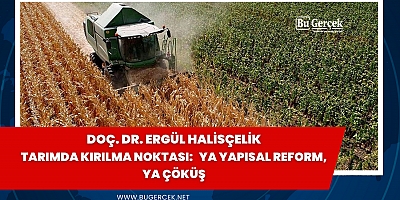 Tarımda kırılma noktası: Ya yapısal reform, ya çöküş