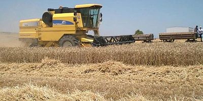 TİGEM 2025 tohumluk fiyatlarını açıkladı: Buğday ve arpa fiyatları yüzde 30’un üzerinde arttı