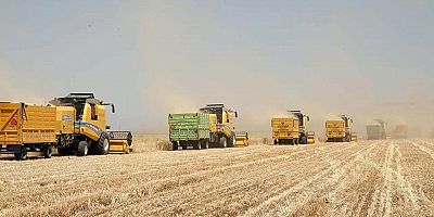 TMO 255 bin ton yemlik arpa ithalatı için ihaleye çıkıyor