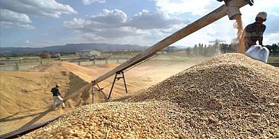 TMO'dan arpa ve mısır ithalat açıklaması: Yeni karar değil, yetki güncellemesi!