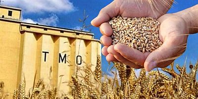 TMO’dan ithal buğday satışı: Alan fabrikalara yerli buğday şartı