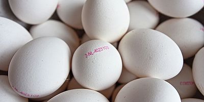 Türkiye’nin yumurta ihracatı: ABD’de yumurta fiyatı yüzde 75 düştü, Türkiye’de yüzde 50 arttı