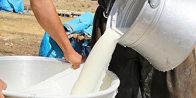 TÜSEDAD açıkladı: Çiğ süt üreticisi litre başına 3,15 lira zarar ediyor