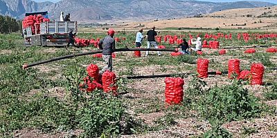  Üreticide 5, markette 25 lira!