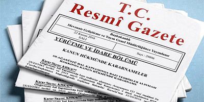 Vergi daireleri için yeni düzenleme Resmi Gazete'de yayımlandı