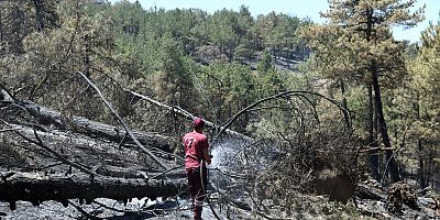 Yangına Karşı OSAD’dan Hızlı ve Koordineli Müdahale