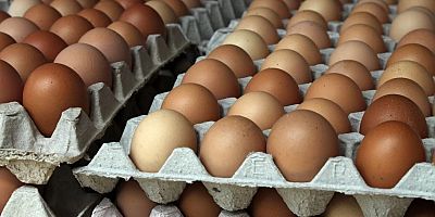 Yumurta fiyatlarında 3 aylık zam oranı yüzde 100 oldu