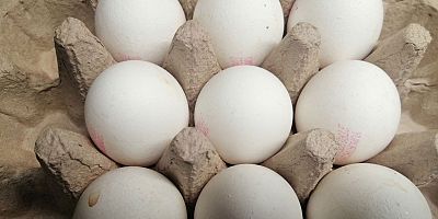 Yumurta fiyatlarında büyük artış: Eylülde yüzde 19,84 zamlandı