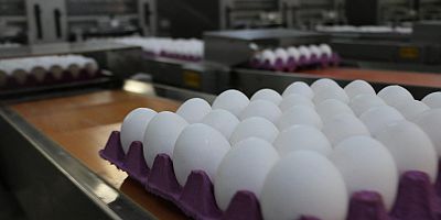 Yumurta ihracatındaki 1,5 dolarlık kesinti kaldırıldı