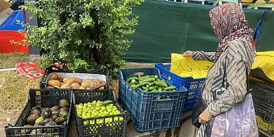 Yurttaşların geçim derdi Meclis gündeminde: Sofrada yokluk, tarlada emeğin karşılıksızlığı var